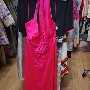 Unlisted Vibrant Pink Backless Dress